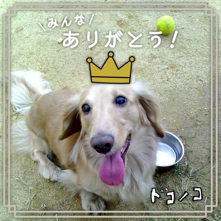 C34a1e6f 97ae 4092 9494 a31094a2d0e6 1623408408718