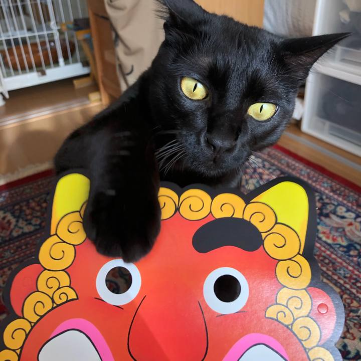 C34a2182 0c16 4759 a451 a67b64501e34 1549172643346