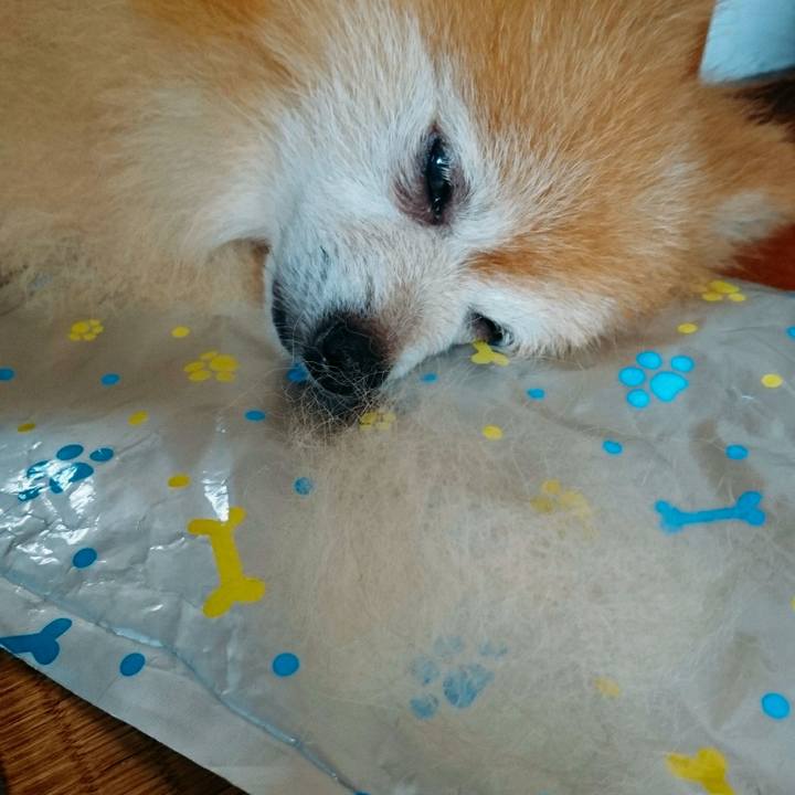 C34a3653 67ad 437f b071 1d4c24667590 1567640723533