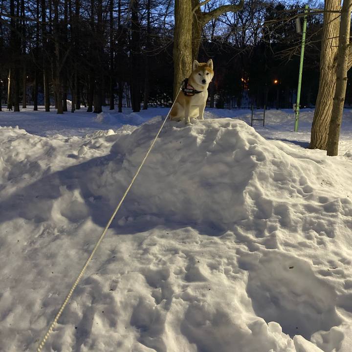 C34a5ea9 2d3b 443e 8fd3 7e78f15943aa 1614942931389