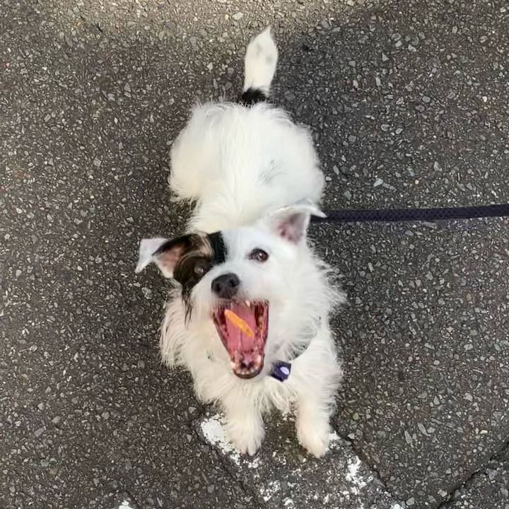 C34a8192 8359 42a0 ab89 b104a8dc503c 1662938490584