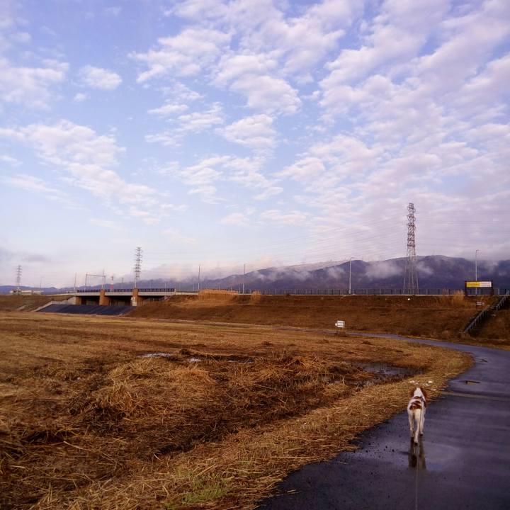 C34a9918 2d3e 4691 ac24 8e502d7f8cb8 1515151905857