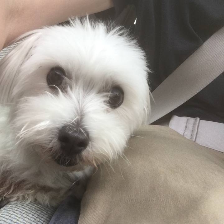 C34aa71c 85b6 4421 9fe7 dd93fc9c2ed2 1595130787451