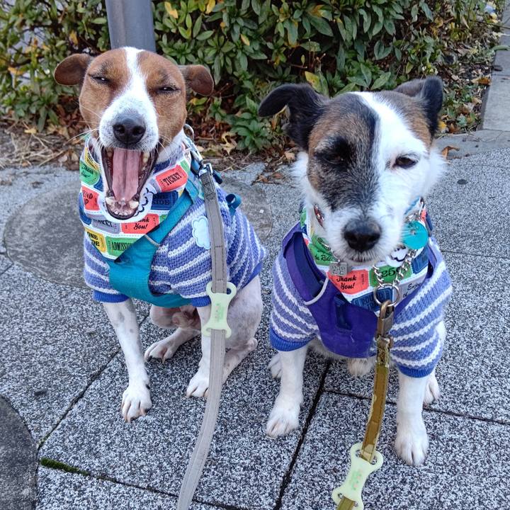 C34ae139 b713 4ae1 b5ea d67312867e54 1637707718572