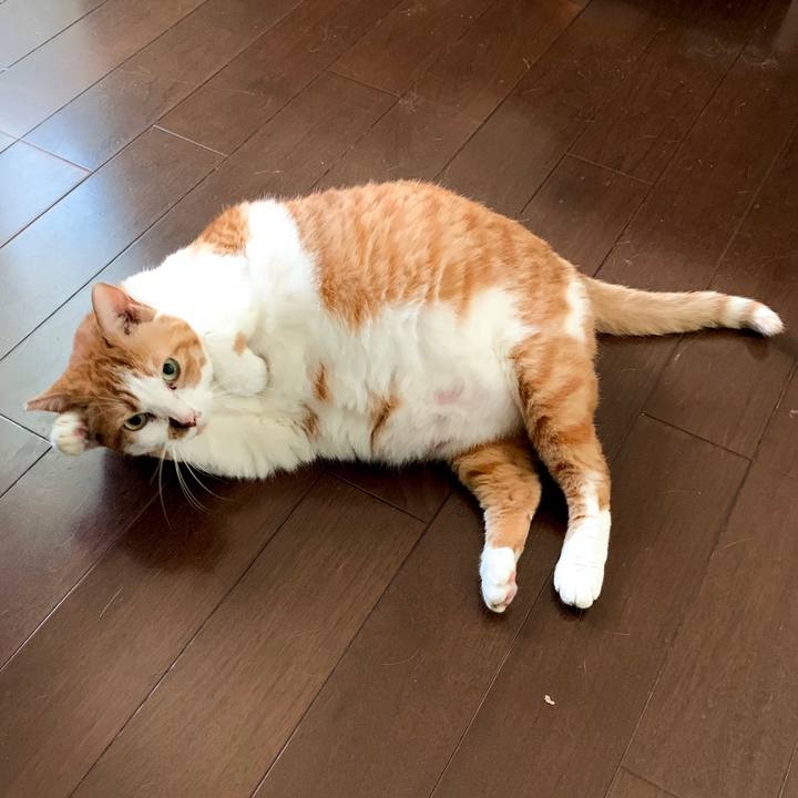 C34ae5c5 10c6 4c2d 98c3 2a36f95668f6 1664546942192