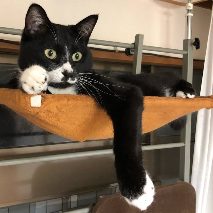 C34aeaa1 da76 44eb a4ed 33e052e303a6 1571801565308