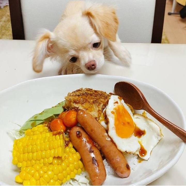 C34aeaab 556a 4299 951a ac21e7e61c27 1756468990320