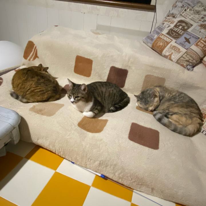 C34b1682 c21c 40d4 b761 9ae5f25704a4 1686380035890