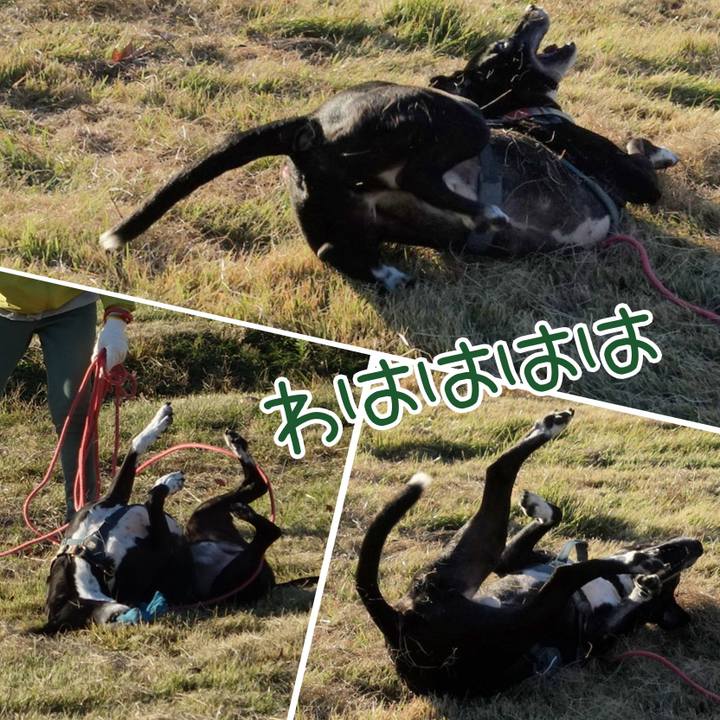 C34b1d84 0911 40b7 8844 1ec526340752 1732322874264