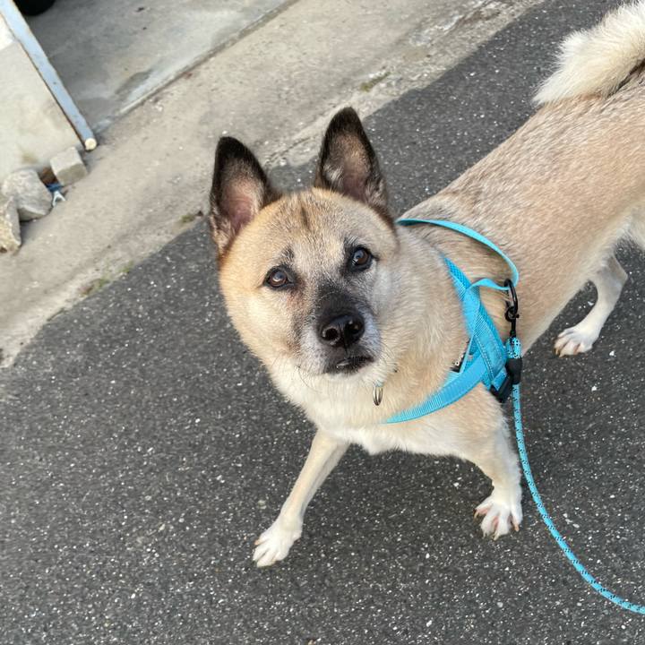 C34b72d7 d7e0 45fc bc67 5ea760cd0739 1727703138056