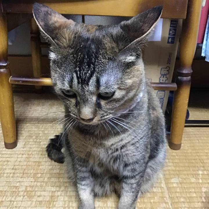 C34b7559 263f 448c ab7a 3bdfb0260974 1689849753298