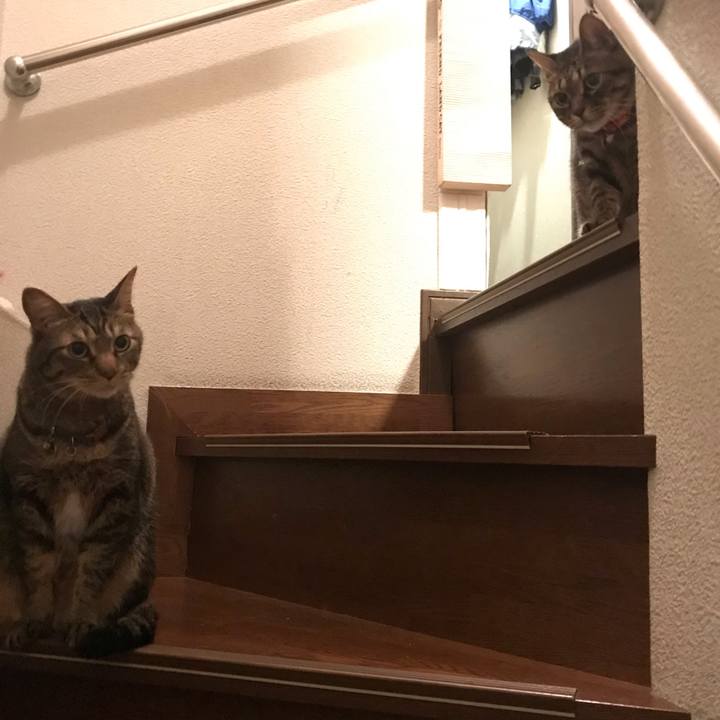 C34bd214 9836 4797 9a80 ddfa8c386d65 1632921830399