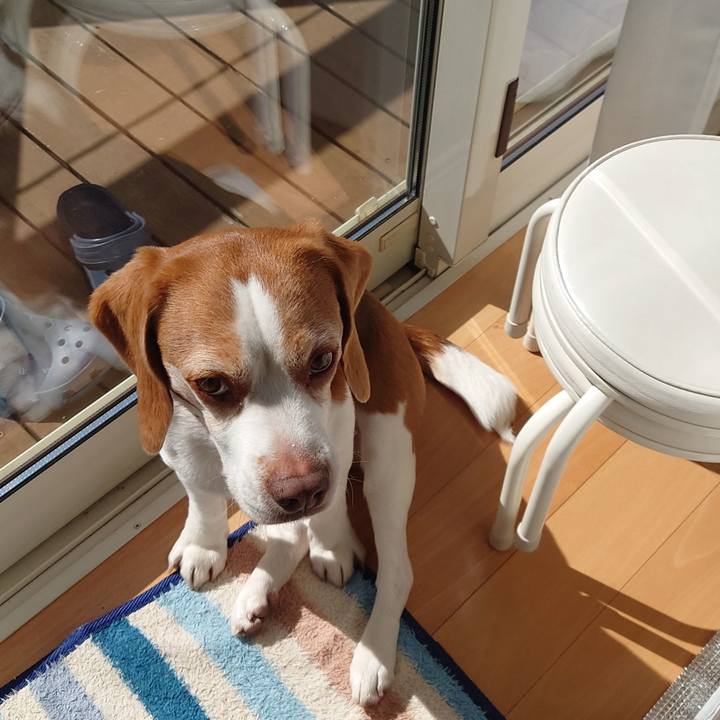 C34bdcaf 530a 4830 9beb a625ac51b74d 1676861056884