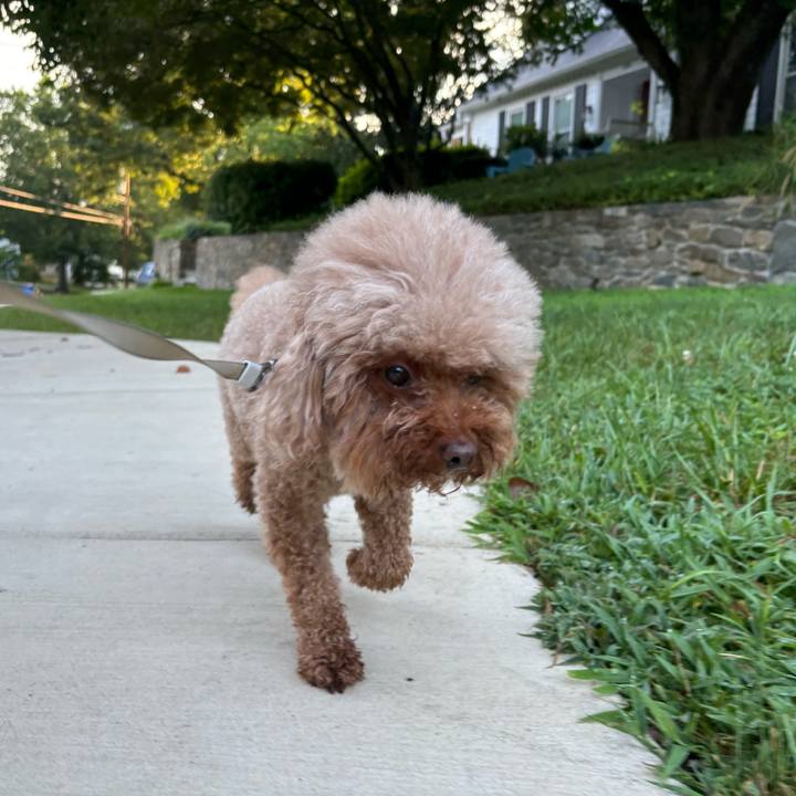 C34bfd2f 69eb 4227 8fd4 72871ce78066 1755175772995