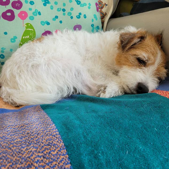 C34c26c9 a77b 488d 9e67 6fe2258704f2 1694572437834