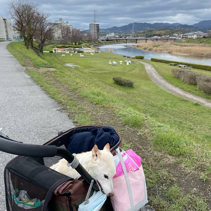 C34c4093 2156 4e74 b74c 8c02987e2004 1679478585676