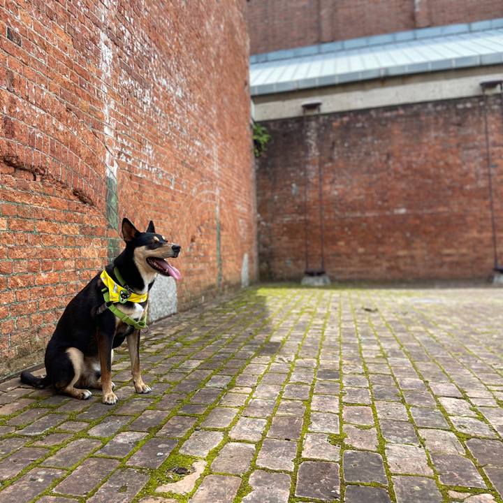 C34c42e6 4bb1 4b1f b740 49b2761ddfd5 1592632728490