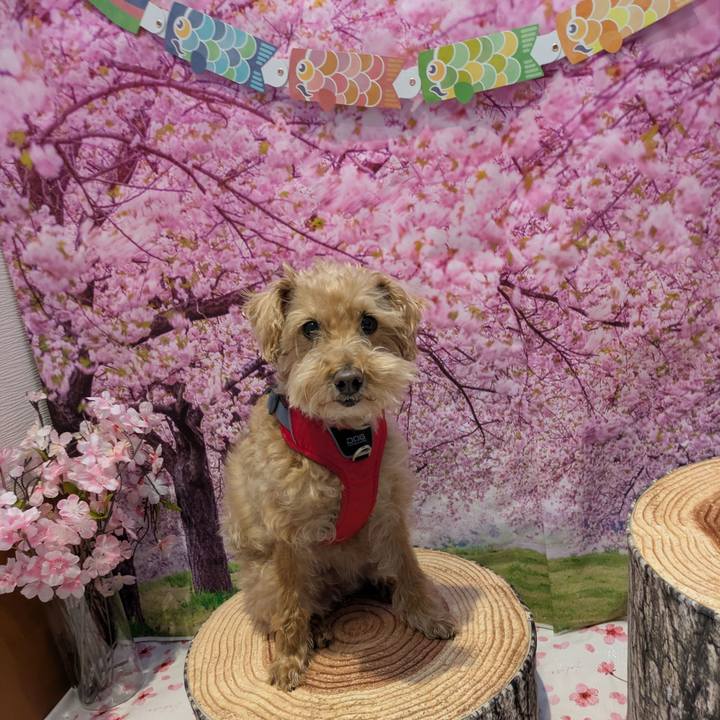 C34c4386 e6bb 45c3 83c1 f82582f17e76 1776681444164