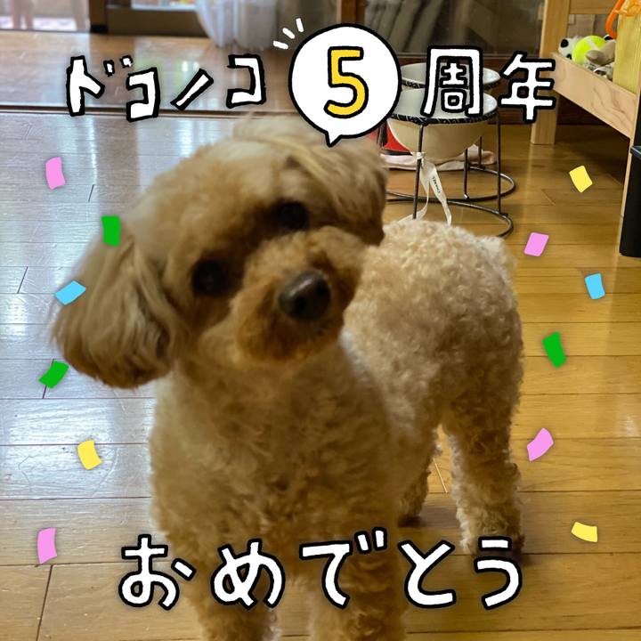 C34c7265 9a80 46f8 bd5c 8882642712f6 1622990042110