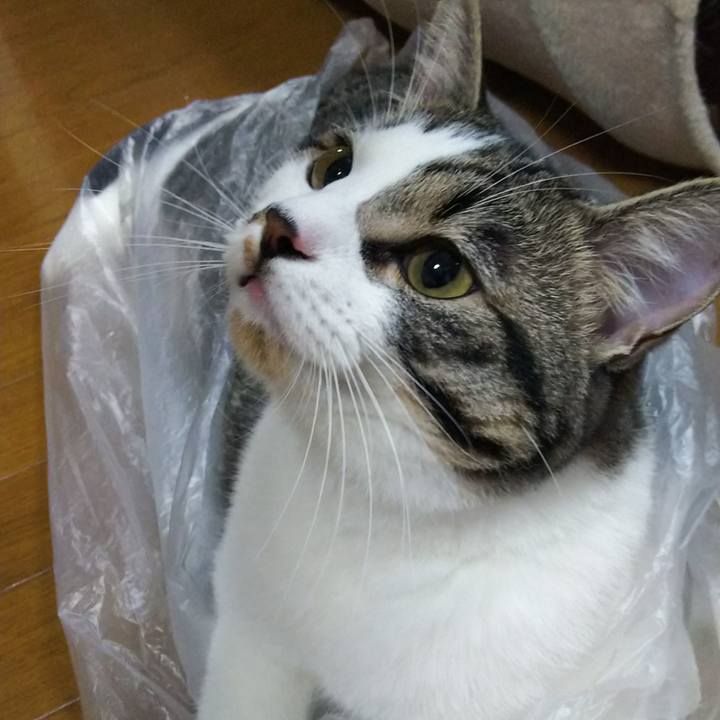 C34c7bbb 7a77 41a1 8cbf 8539f4004714 1624102806790