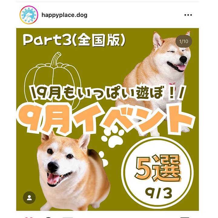 C34c7cfa b443 4d72 958d ebfbcb245e44 1693613542021