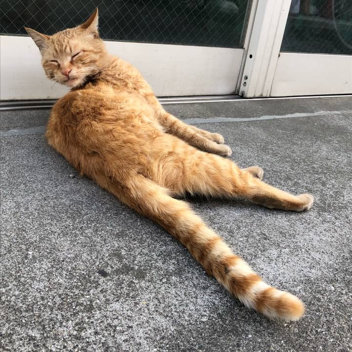 C34c9f2a 7f65 4c46 8710 0522df53dcb7 1525169496230