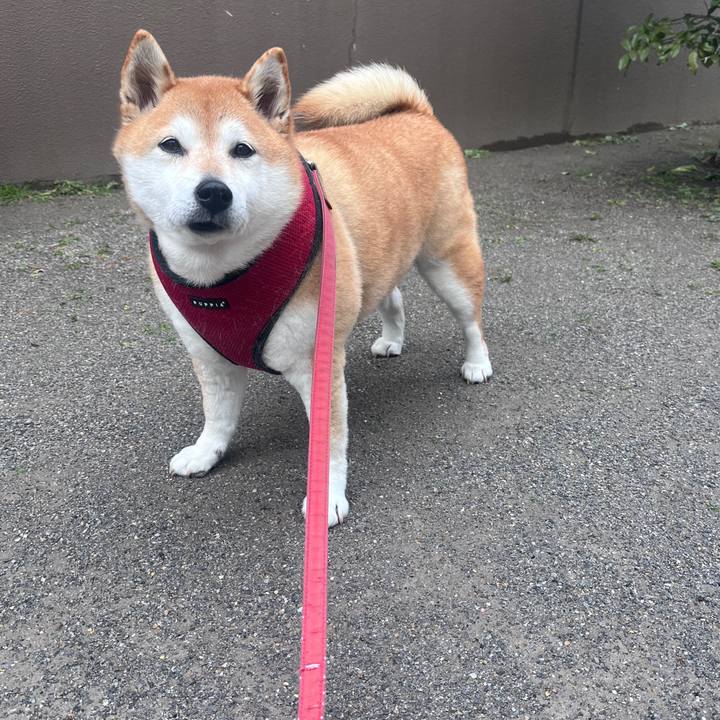 C34cc22a ce3d 4b88 80a5 2278f378cac7 1709707308893