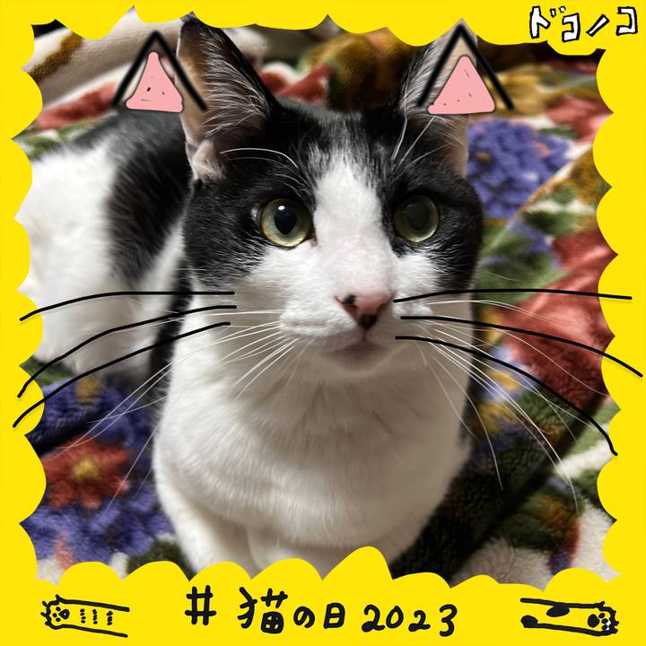 C34ce141 a65d 4ee2 89aa 96e438c6a824 1677071737069