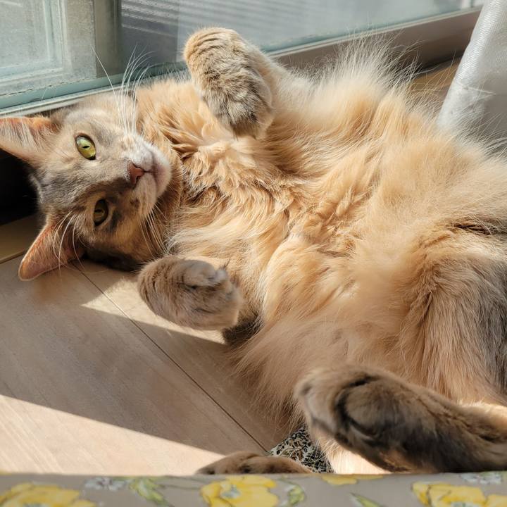 C34ce561 b25c 45e7 9d4e cafdcf283f1c 1636168970691