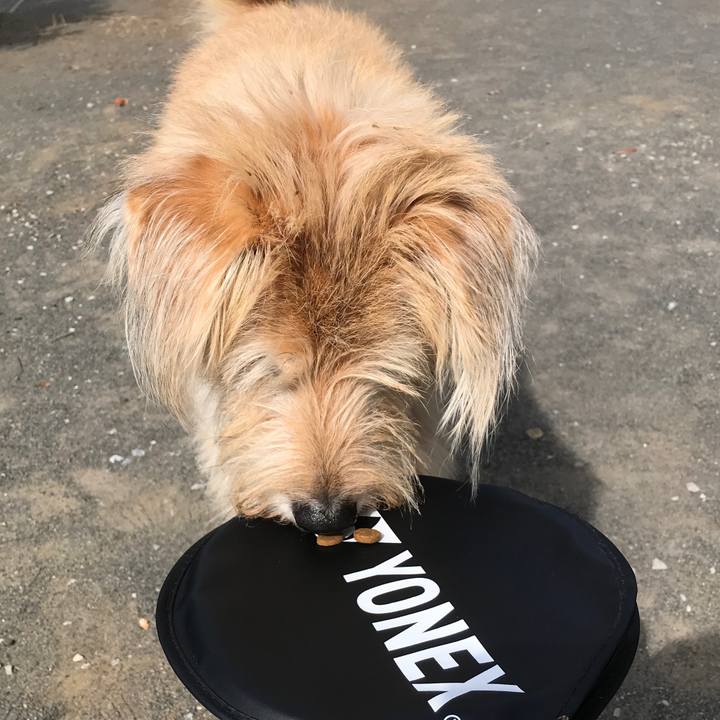 C34d2a0b 036b 47f9 ac20 37f019c91edb 1540010014575