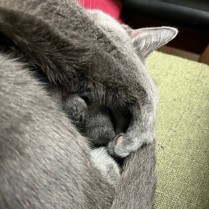 C34d313d acd8 4cd5 ac86 d1ea9de8c8e6 1745841758904