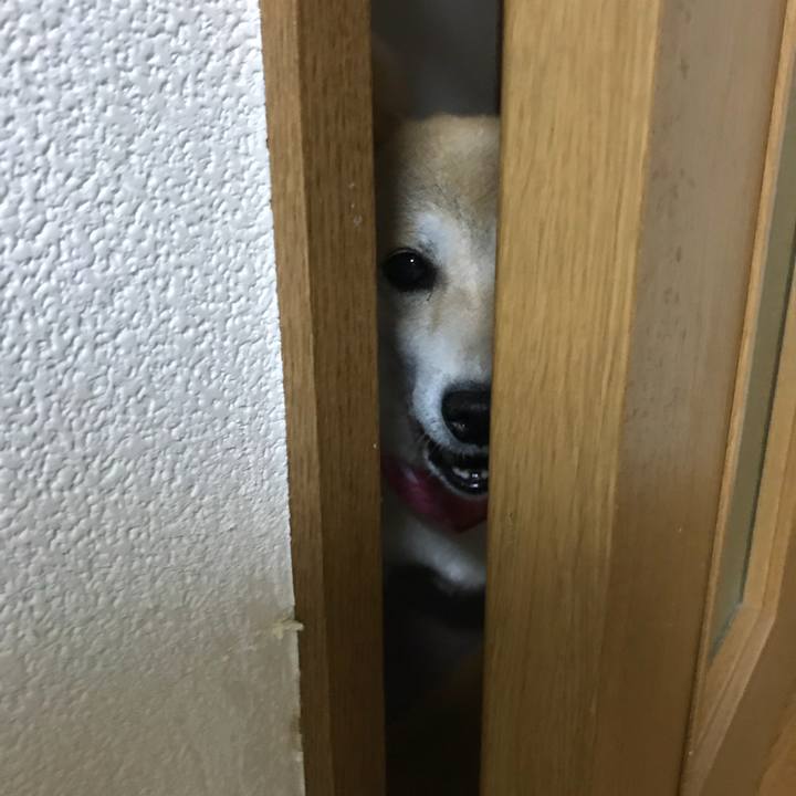 C34d4b31 9197 43ff bed2 95087e8a188d 1530013999903