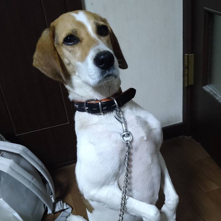 C34d843a 084d 4e93 847b f9df4382458b 1631249750657