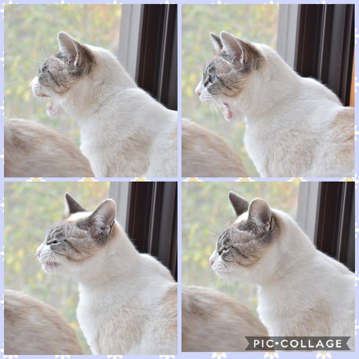 C34d8e92 2cce 4ae8 aa36 634fc29d23e8 1522994216502