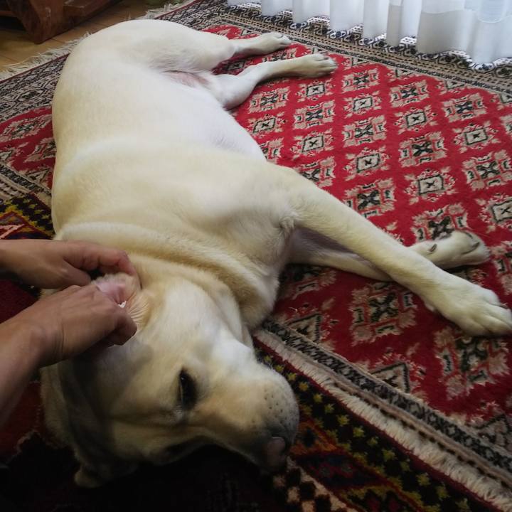 C34db258 f694 4a78 8b09 f88fbf0dbce3 1570347166345