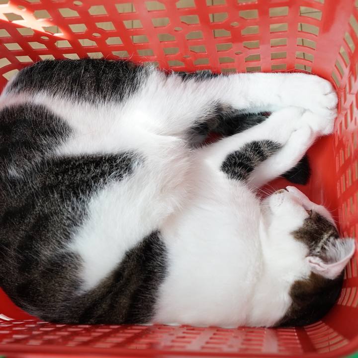 C34dda9f 7951 4dcf b29d 45db7fbde3fa 1564012471549