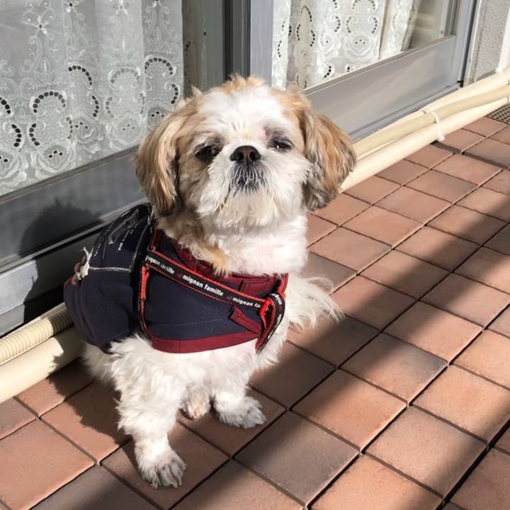 C34df6fa dc35 46ed 9e34 491e3d36f1cd 1575161600808