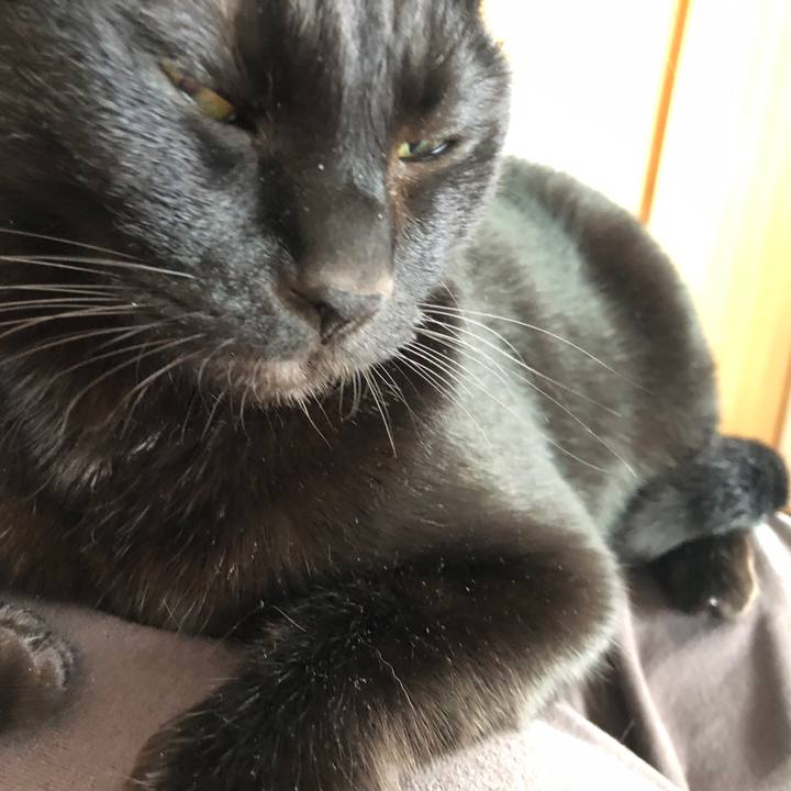 C34e0a19 190c 4574 ad6d 0d7ef7950f3f 1680308660368