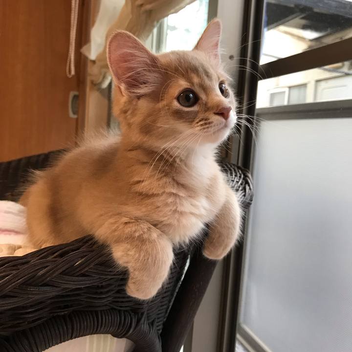 C34e1ab0 ed34 4024 863c b4c00dd2c7b2 1540020039242