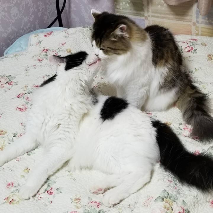 C34e665c 9a04 4e5f 86be 3c679321507d 1567116267683