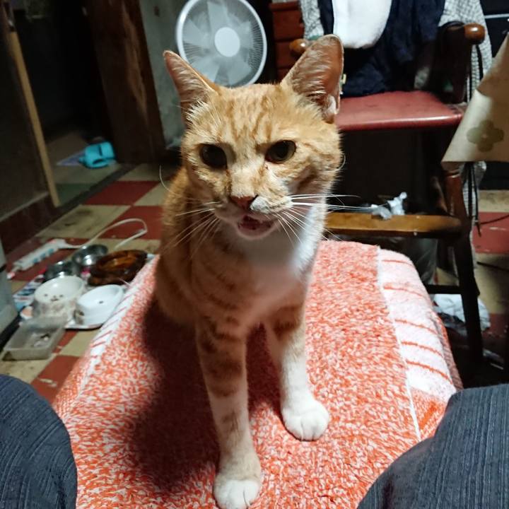 C34e6941 ab47 4398 8be7 983a265fc081 1596657731690