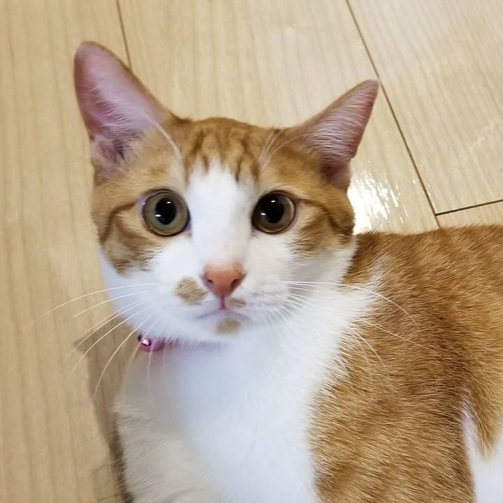 C34e9ec1 bf8c 4d72 bfae 19ac28f915af 1523024994273