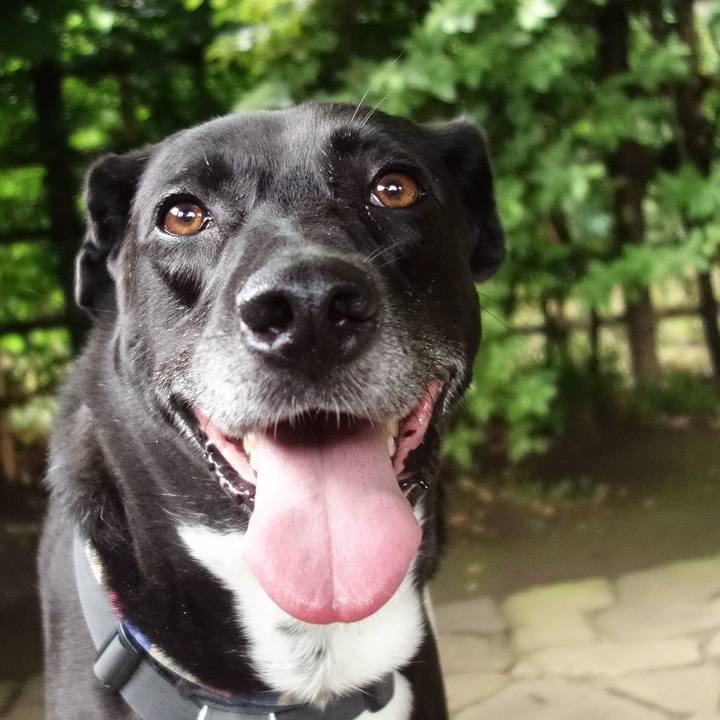 C34eac04 16e9 419e 89ad 87e13fa16ec6 1654911241542