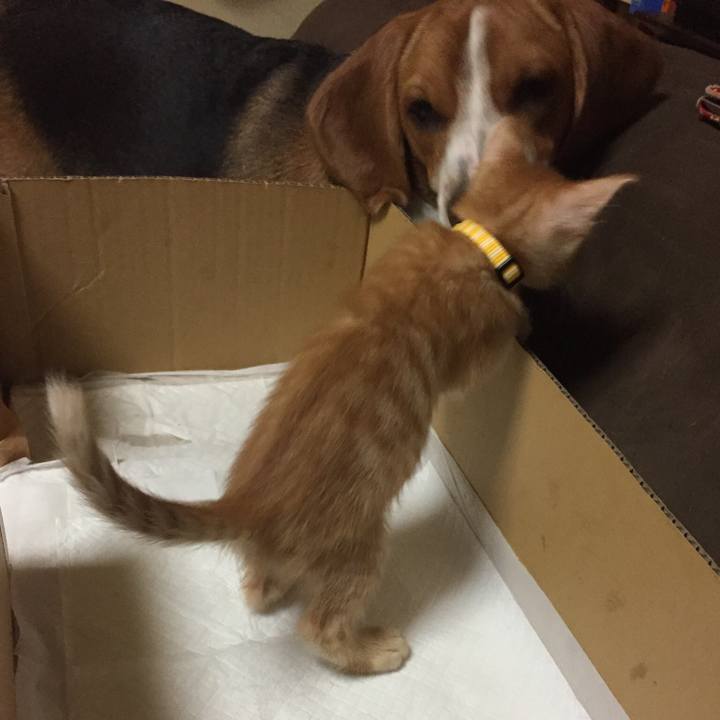 C34ec17c 0064 40c5 85c8 c39bc955c86b 1534511875911