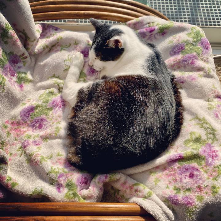 C34ec264 b61d 4461 9ccd 506ac3aa808a 1617837664161