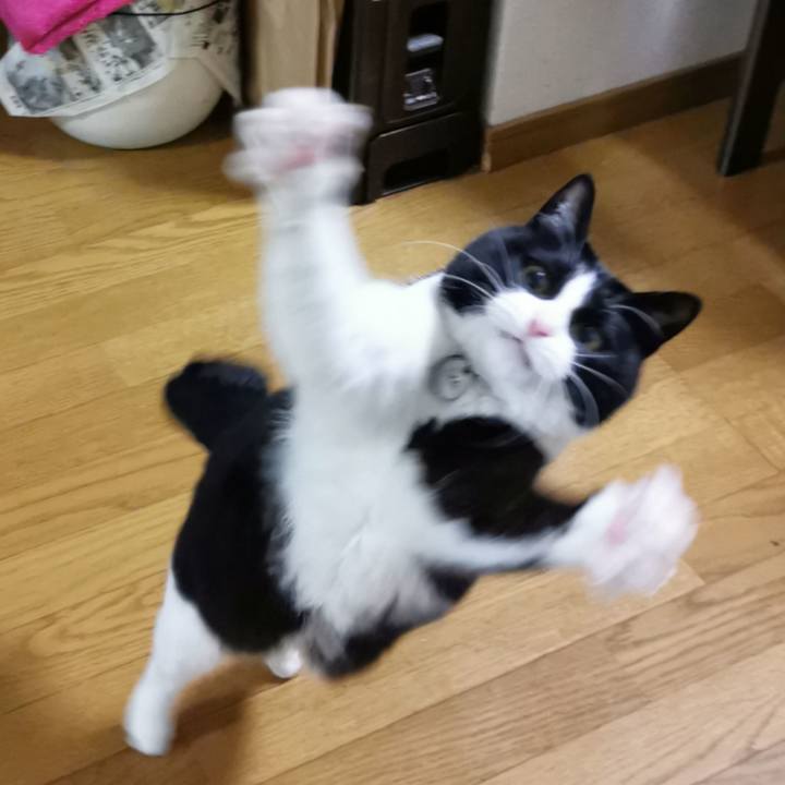 C34f0615 5f9d 4c33 87af aa42dc8ea63e 1648185756037