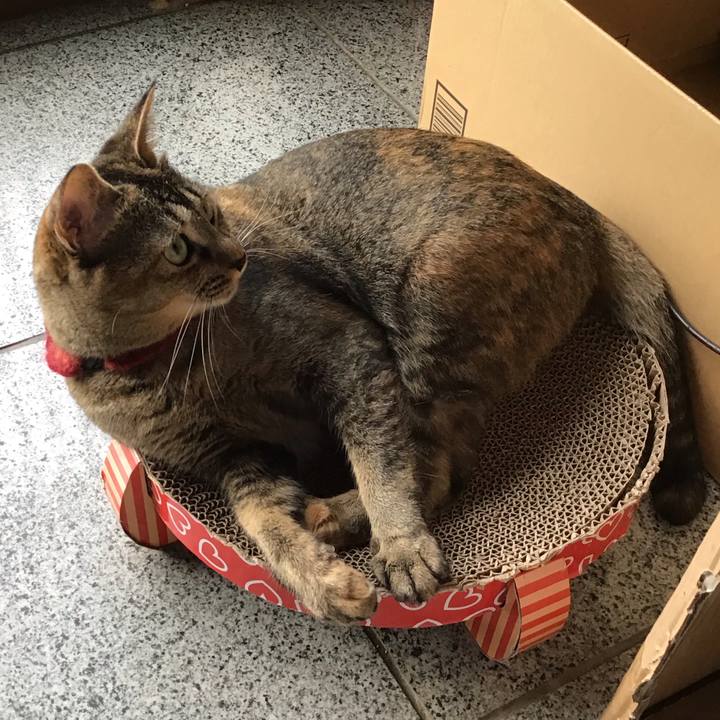 C34f1945 5b7b 4696 841c 58ecac4e27b0 1600300567968