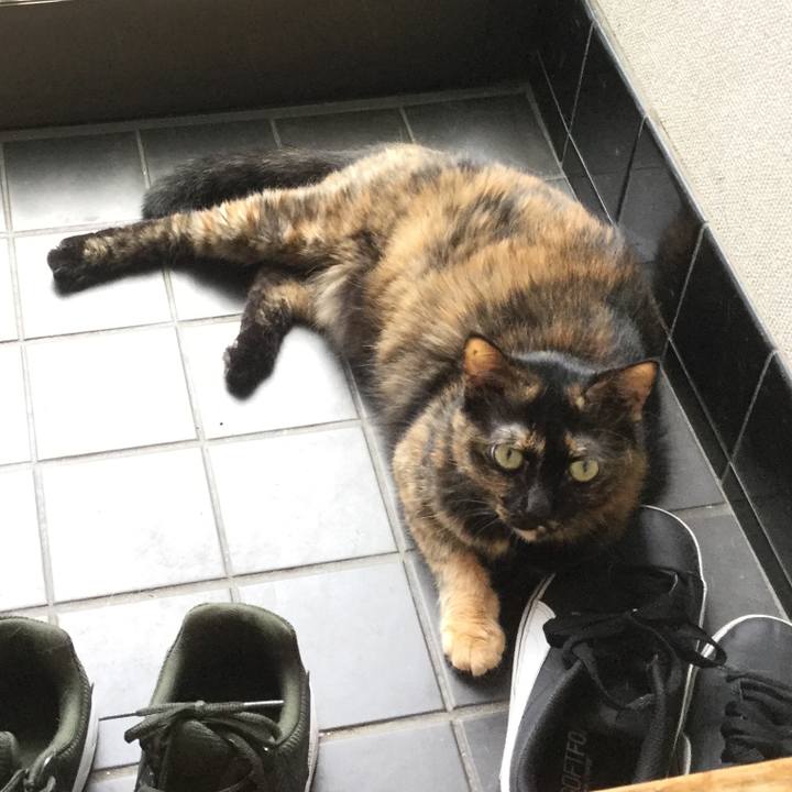 C34f1d26 66a8 4329 86aa 8204905a1e79 1597295708266