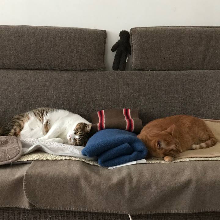 C34f7f57 90af 4ccf 9cd0 099074b7a1e5 1578470606908