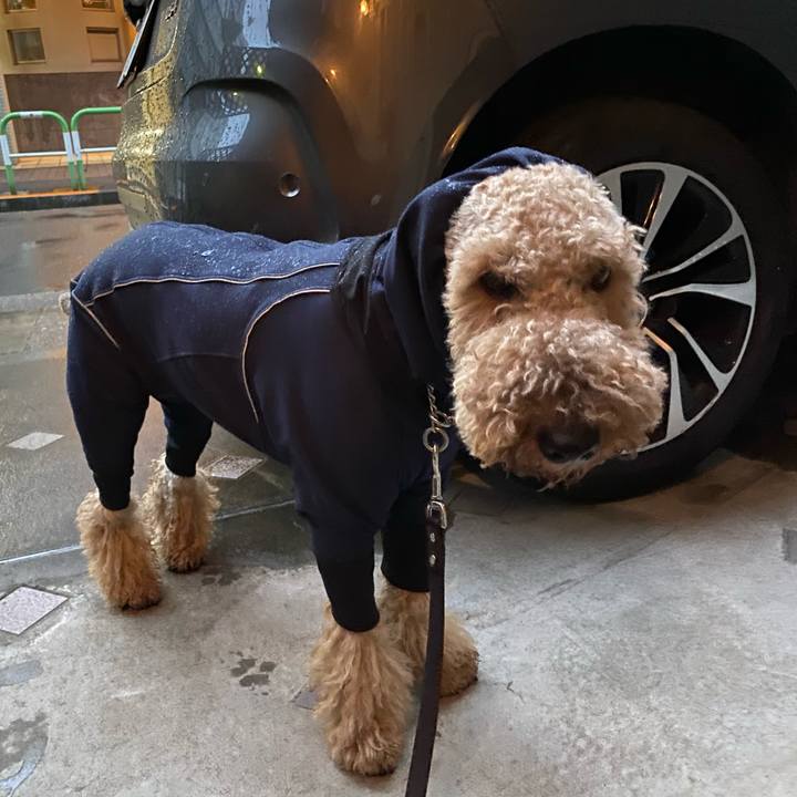 C34f893c 9754 46aa 8f4f 49c2982118da 1602887303978